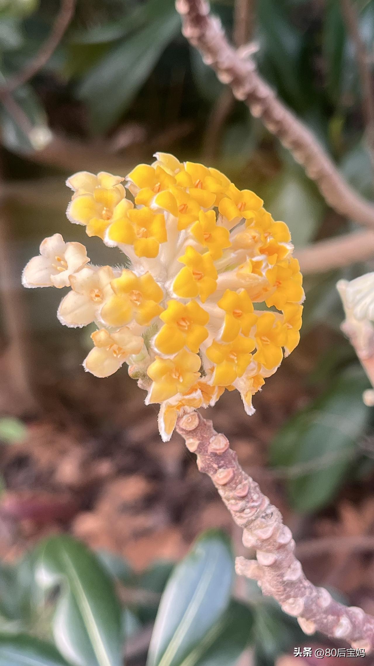 今天早上7:30，照例来到公园晨练。

今天天气真好，阳光明媚，晴空万里，心情也
