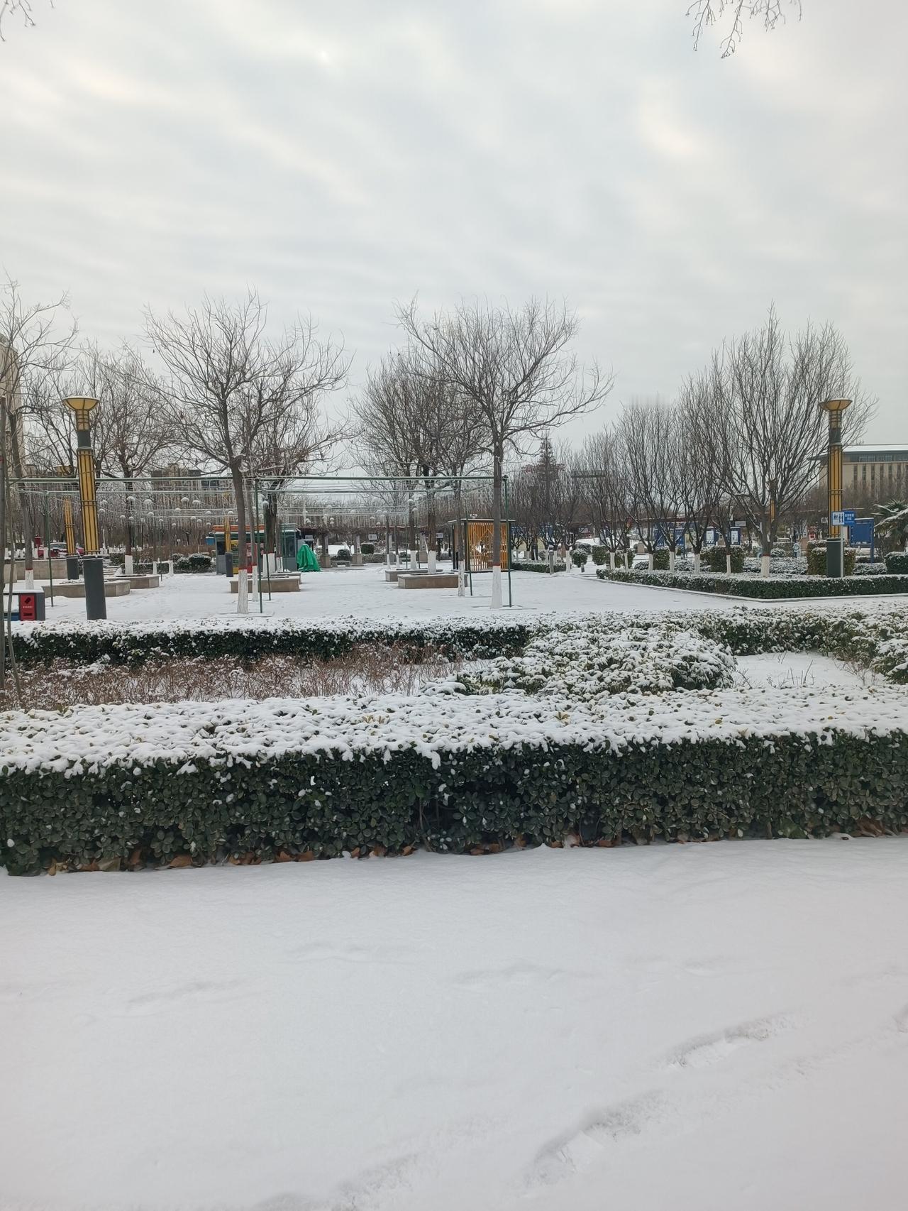 谁懂啊！腊月初一的雪，直接把我拿捏了🥹
 
二0二六年元月十九，腊月初一，今天