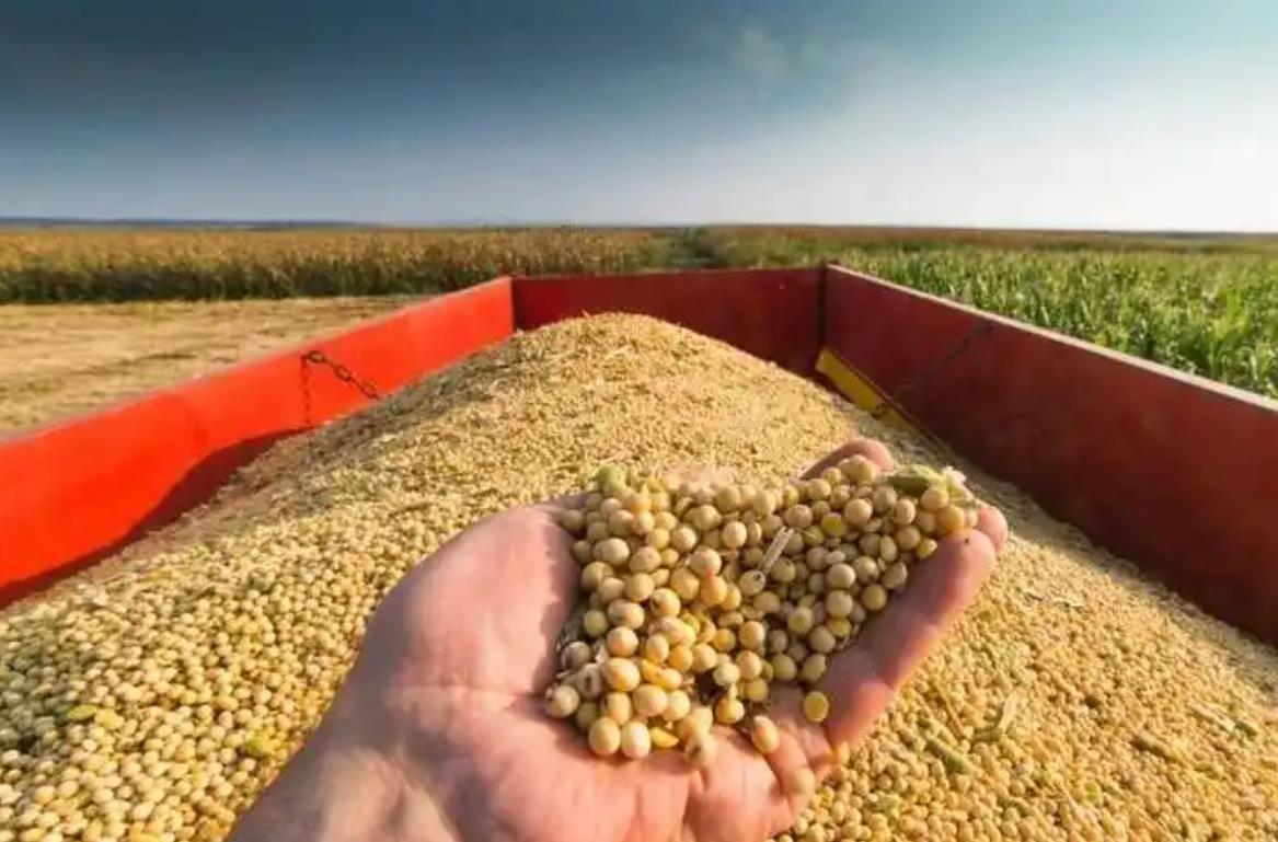 美国打伊朗这次将对准伊朗的粮食产区，食品加工厂，美国人要让伊朗人因饥饿发生内乱。