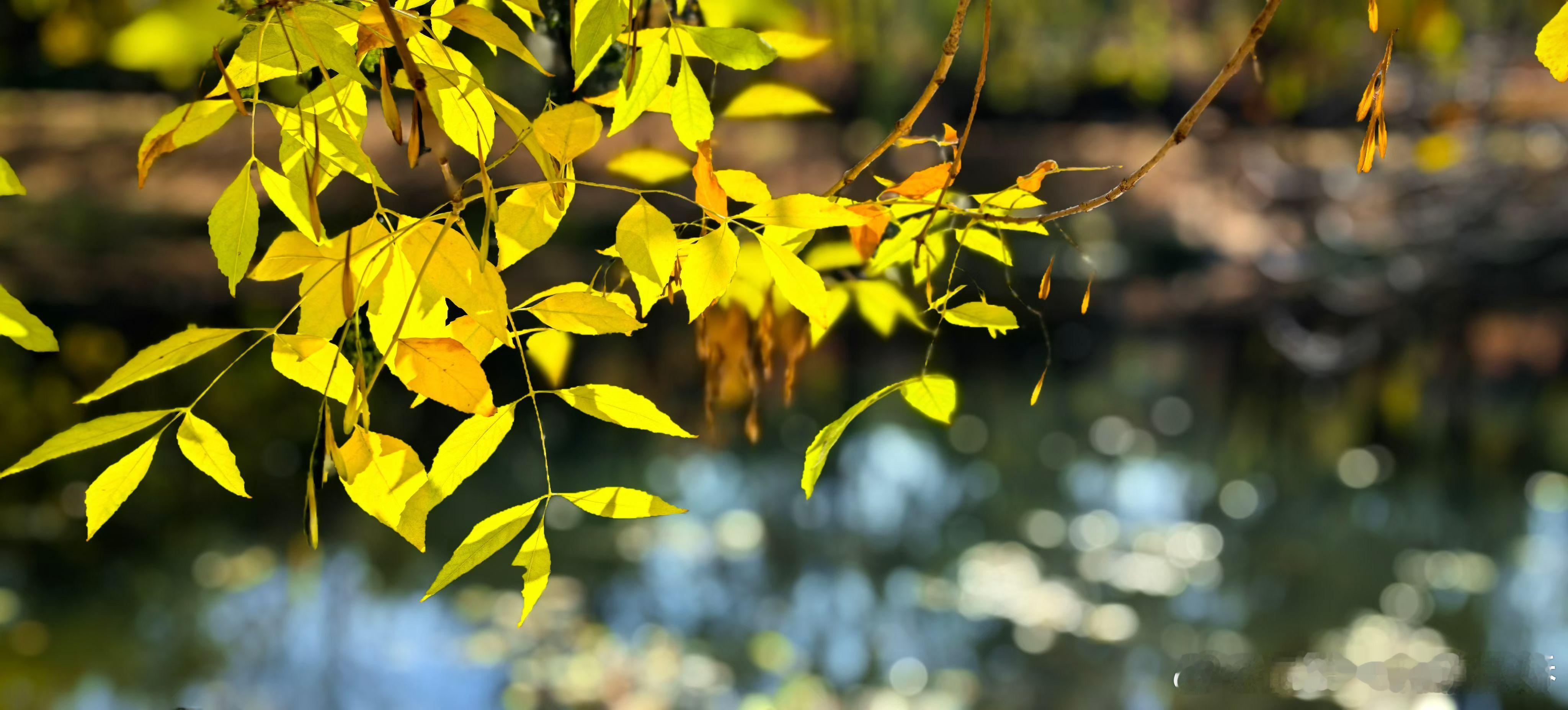 生活手记奥森暴走实录北京奥林匹克森林公园也太能“装”了！六百八十亩的广阔天地，暴