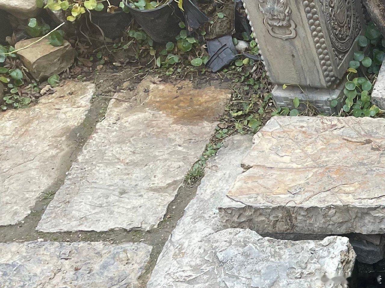 阳光信用mzy每日一善 爱国，是人世间最深层、最持久的情感，是一个人立德之源、立