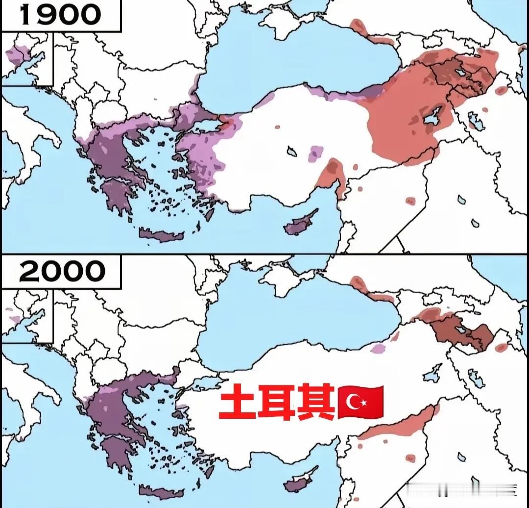 土耳其作为一个地区强国，依旧拥有自己的大土耳其和大奥斯曼之梦，希望利用多边外交与