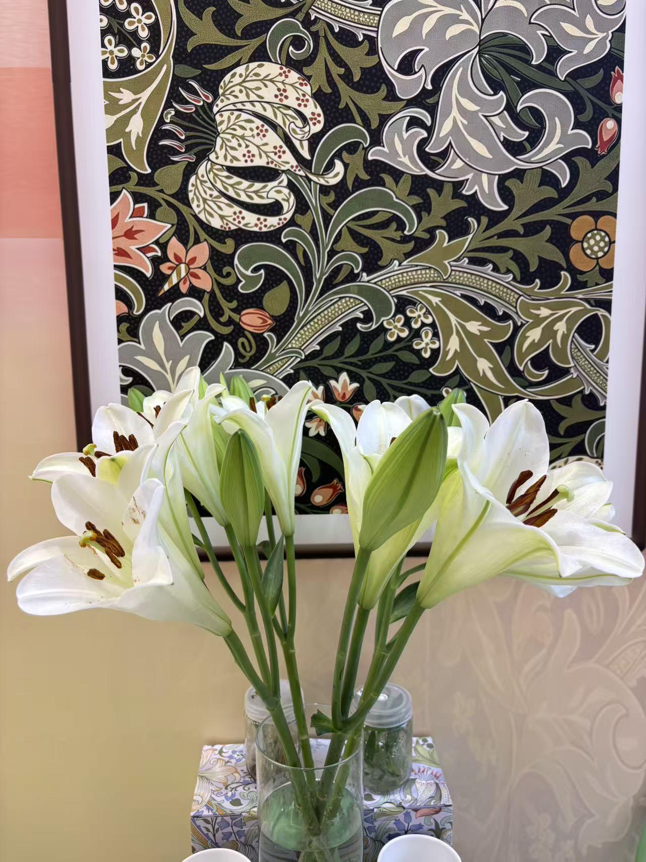六月芳菲，国家植物园的百合迎来了最佳观赏期。走进宿根花卉园，就像走进了缤纷世界，