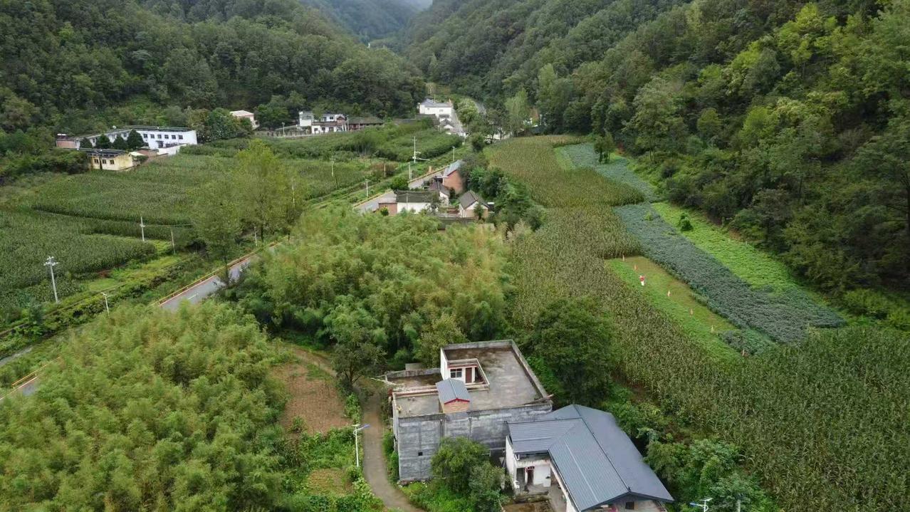 在青山的怀抱里，村落如明珠点缀其间。公路蜿蜒，串联起绿野与屋舍，云雾轻笼的远山，