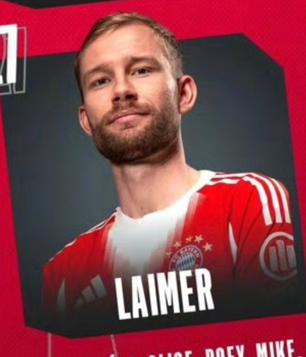 核动力驴 & 核动力鸡（做南仁就要体力好[羞嗒嗒] ​​​