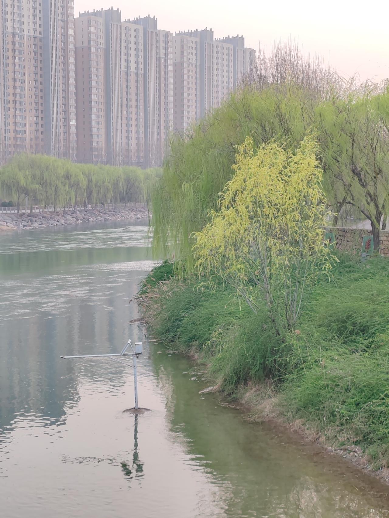 上联：落花有心随流水
下联：岸石无情留浪花
这副下联对得巧妙，既工整又暗含意境，