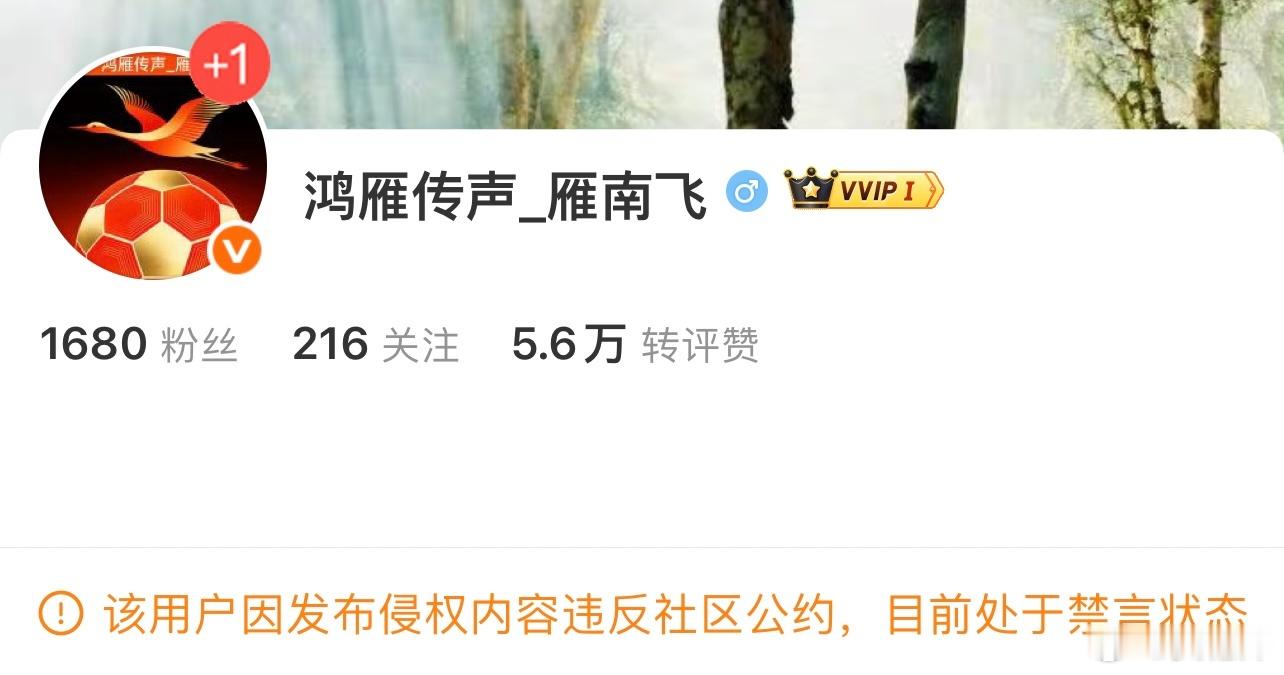 多年来，该账号始终以抹黑、诋毁、贬损中国足球小将为常态，频繁发布负面言论，恶意歪