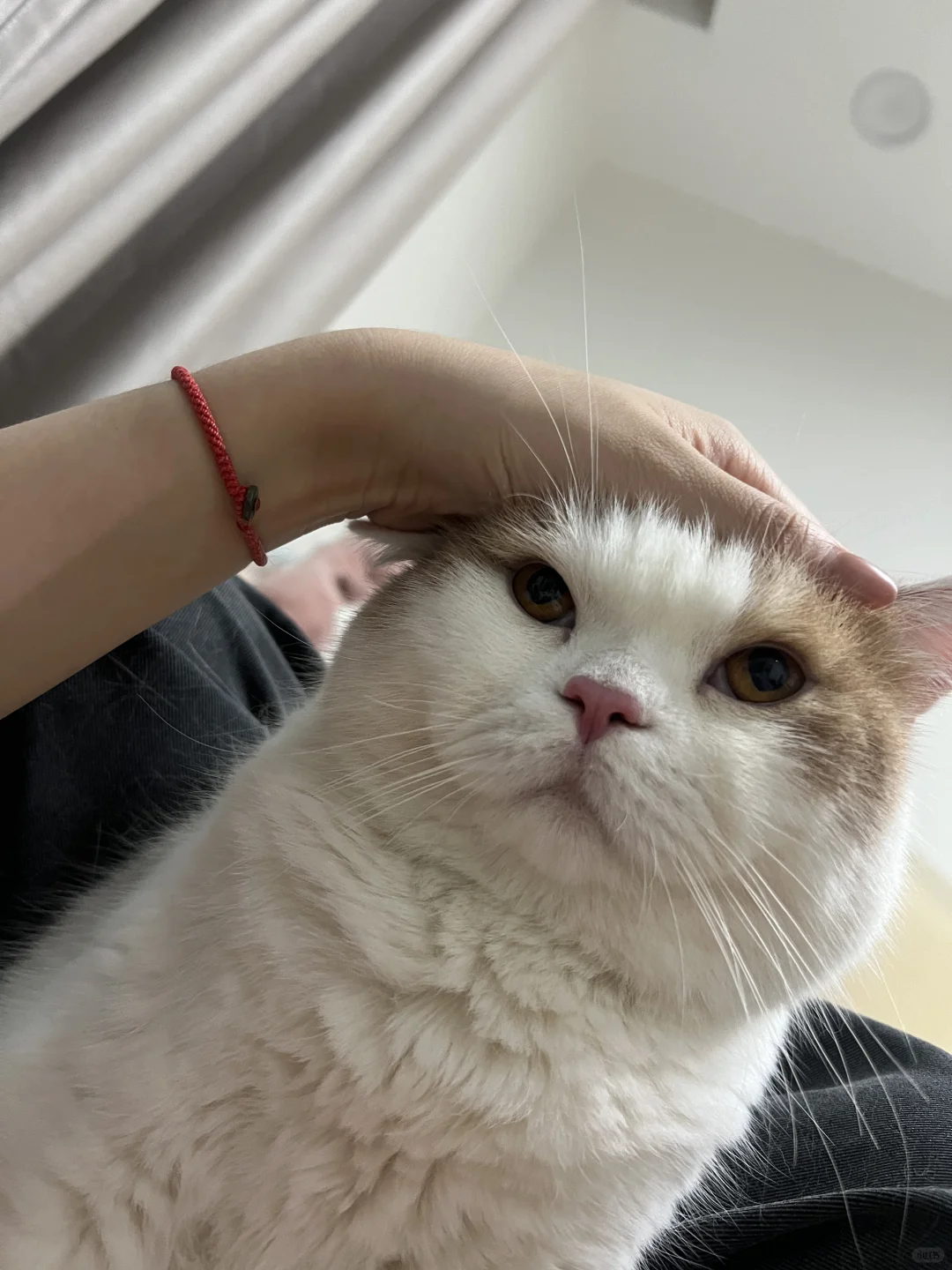 你怎么这么不服气😠