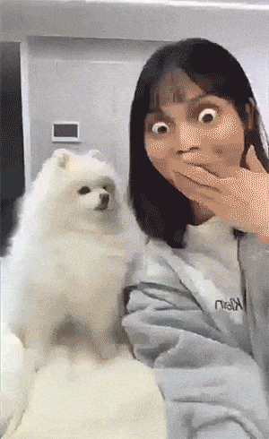 狗子：原来我的样子这么邪恶的吗 ​​​
