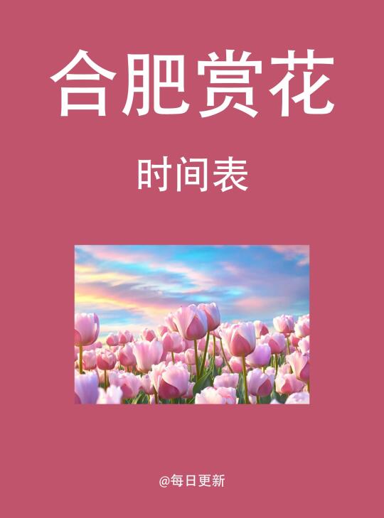 合肥赏花时间表来了