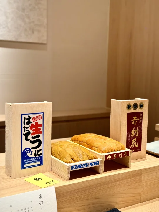 溯汐海胆SP场
