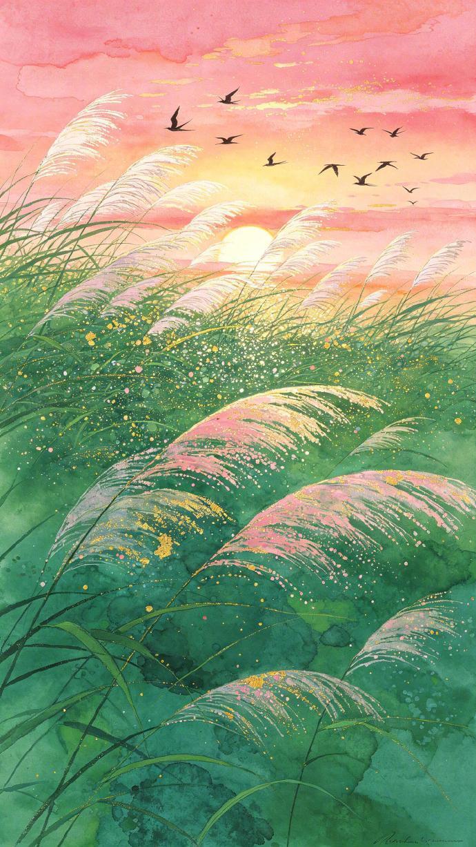 日落、芦苇、湖心，此间便是温柔乡 🌾 