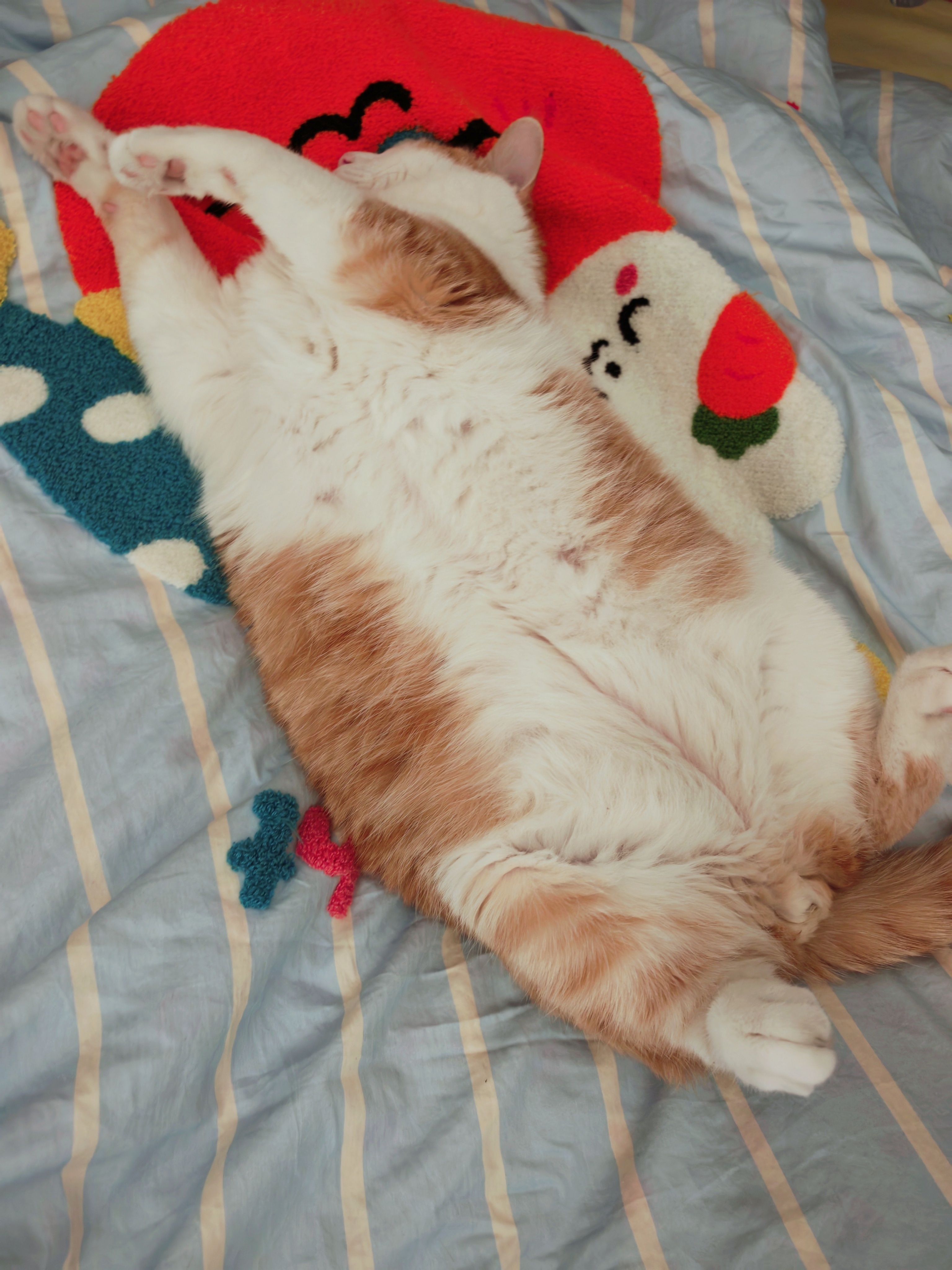 早上好呀老铁们，昨晚都睡得好吗？还是被窝里舒服暖和呀为什么富人不怕冷穷人怕冷