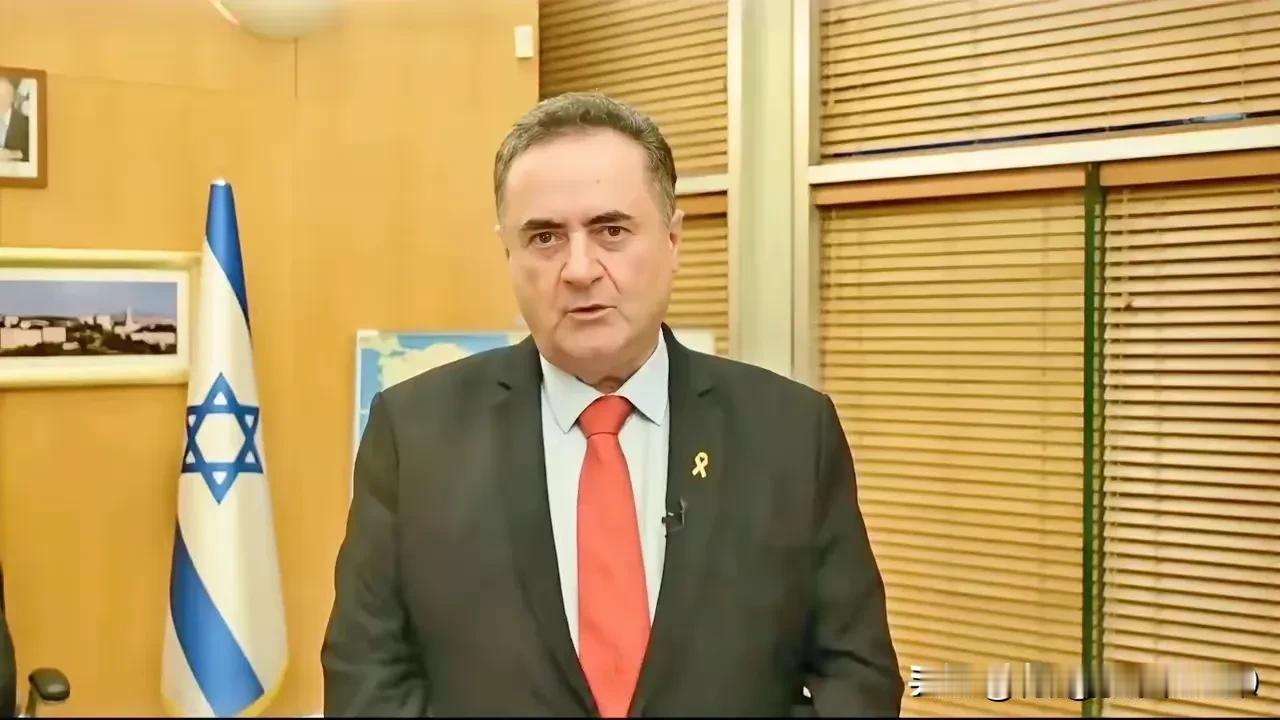 一个屠杀无辜平民、暗杀成性的国家，把别国定为恐怖主义，真是可怜。近日，以色列外交