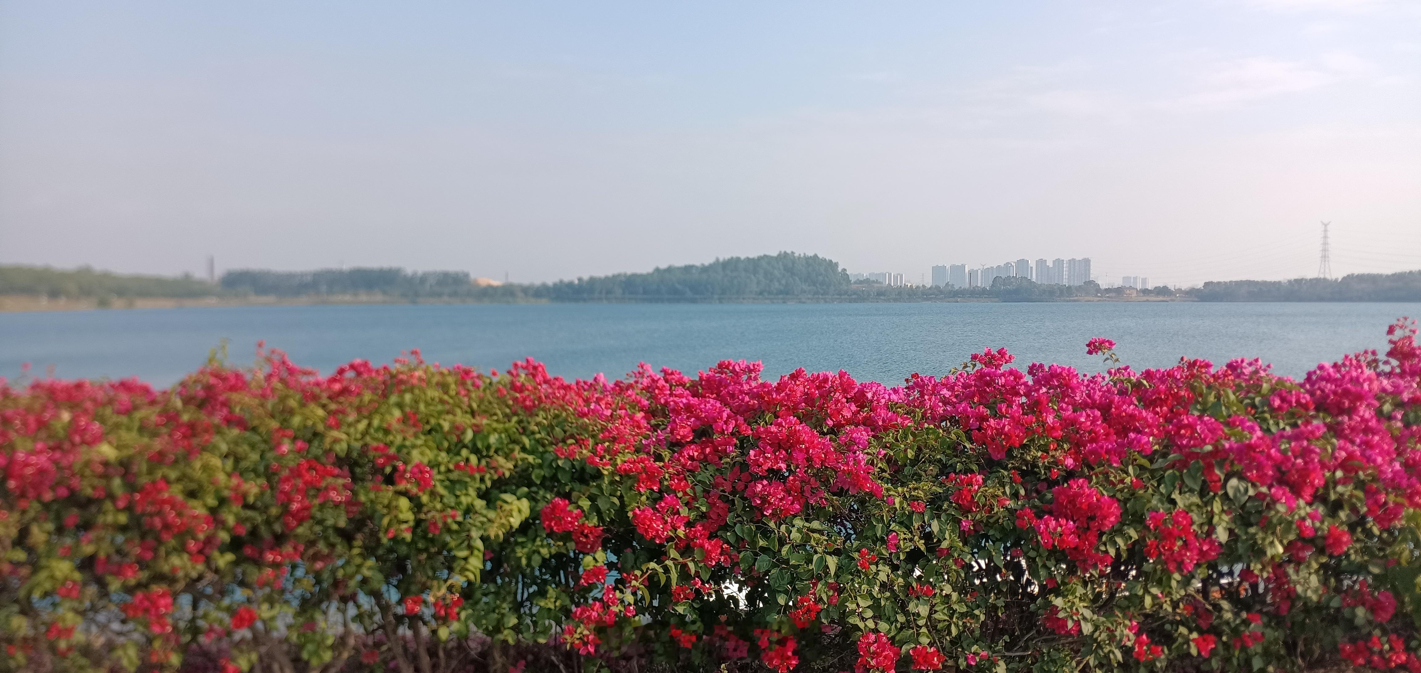 一张图证明我来过这里茂名露天矿公园。 