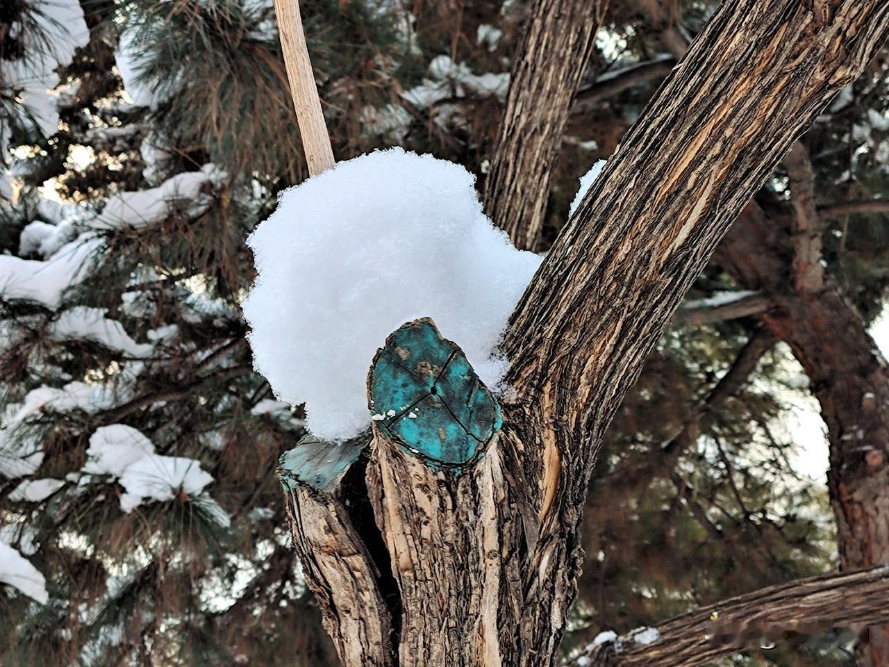 AI分析的美国经济强大的原因，你认同吗？
美国经济强大是多种因素共同作用的结果，