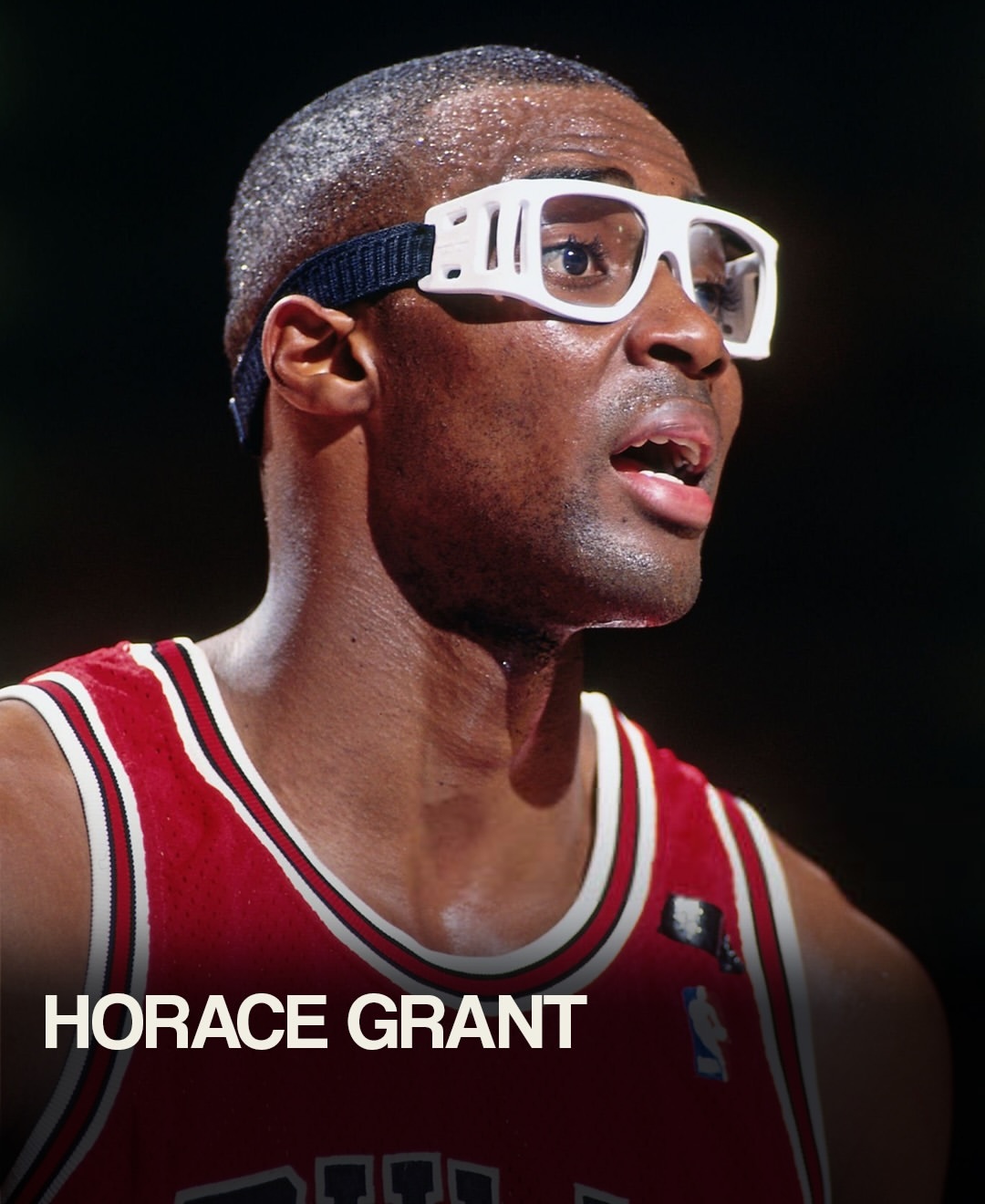 今天你打球了么 你打篮球时会戴眼镜么？ 地坛公园不再允许用明星姓名认领树