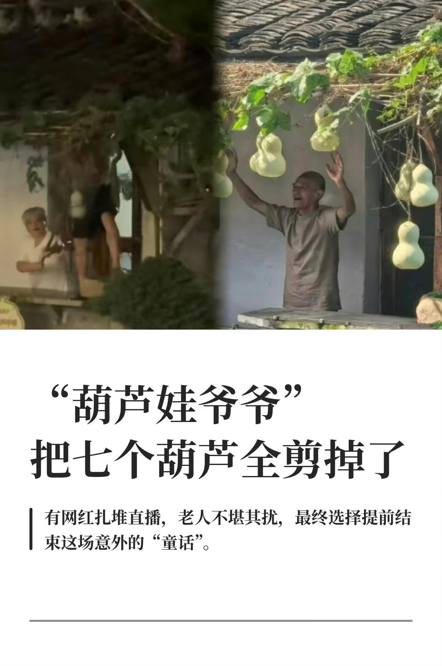 爷爷提前剪葫芦是给流量的一记耳光已经严重影响到别人的生活了。 ​​​