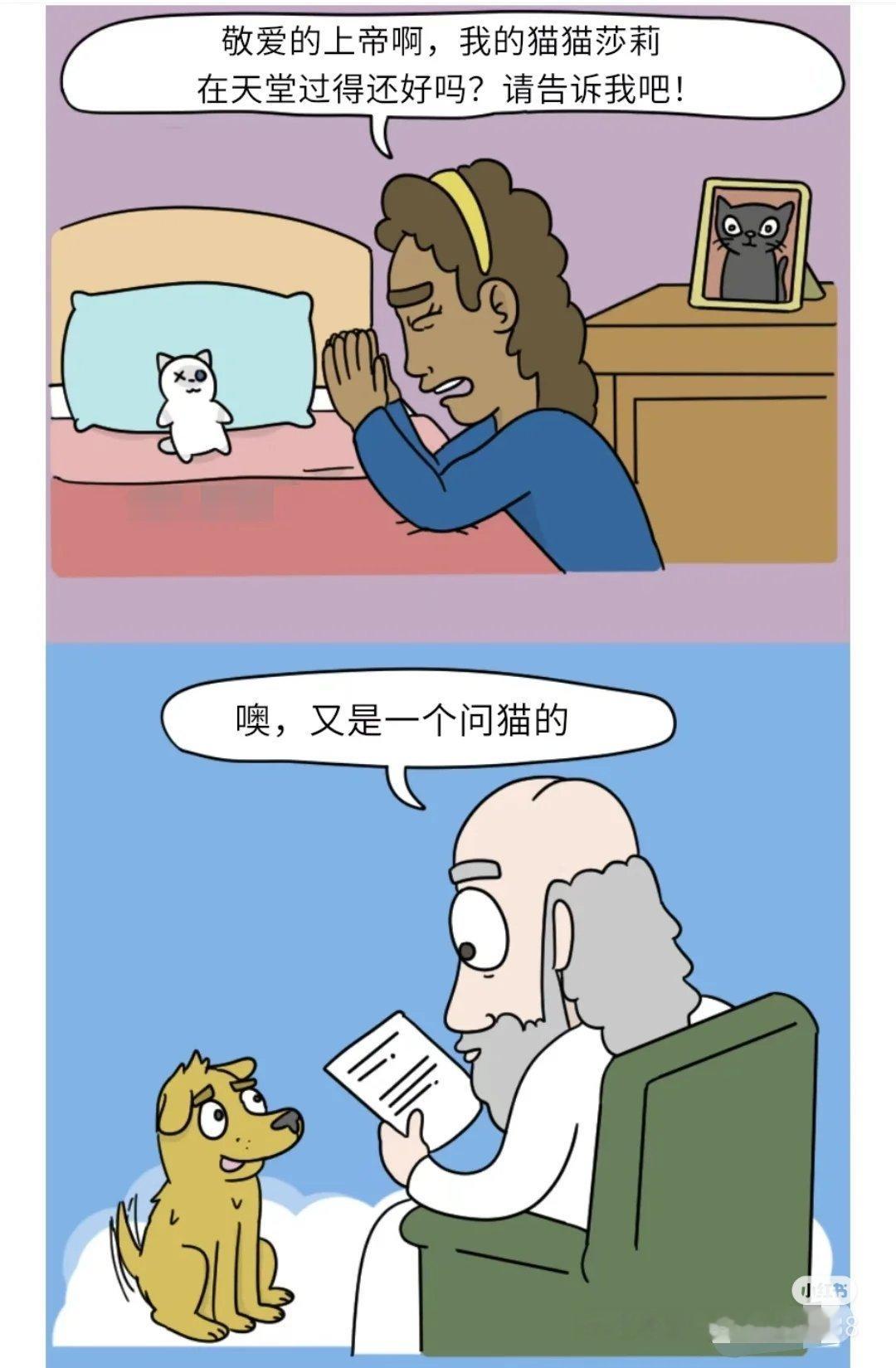 作者真的养猫[哼] 