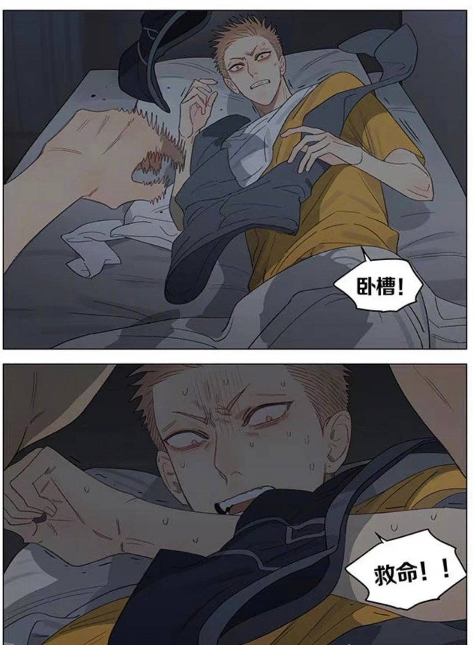 十九天这是日有所思，夜有所梦吗？19天cr：old先 