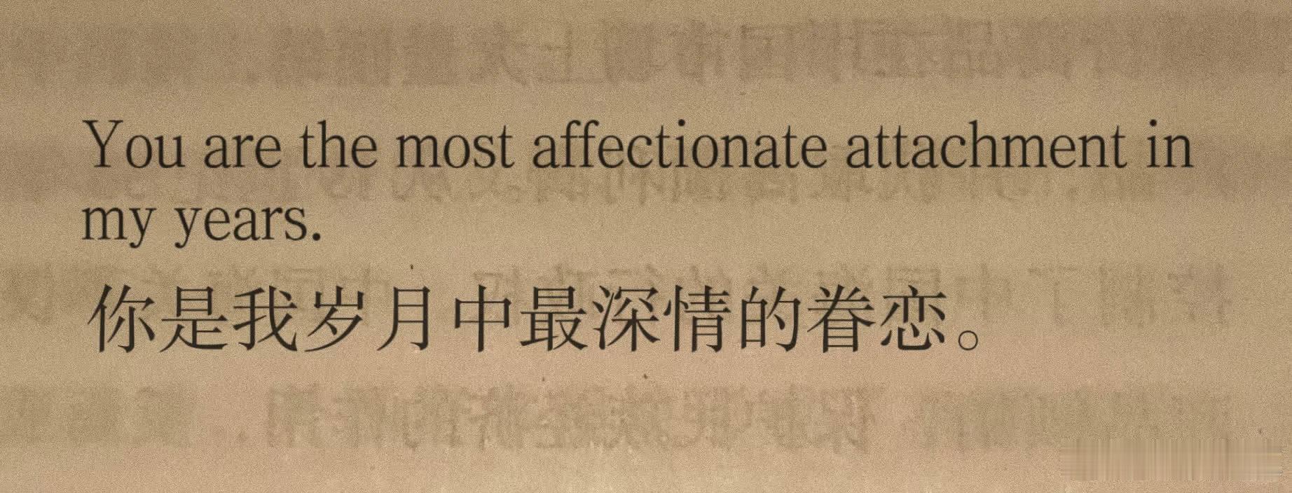 “救命！超级喜欢这句话😭”  You are the most affecti