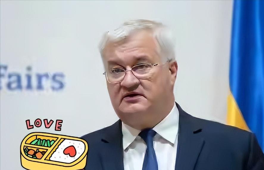 乌克兰突然放出一个重磅消息直接震惊不少人，乌克兰内阁正式宣布，一口气终止和俄罗斯