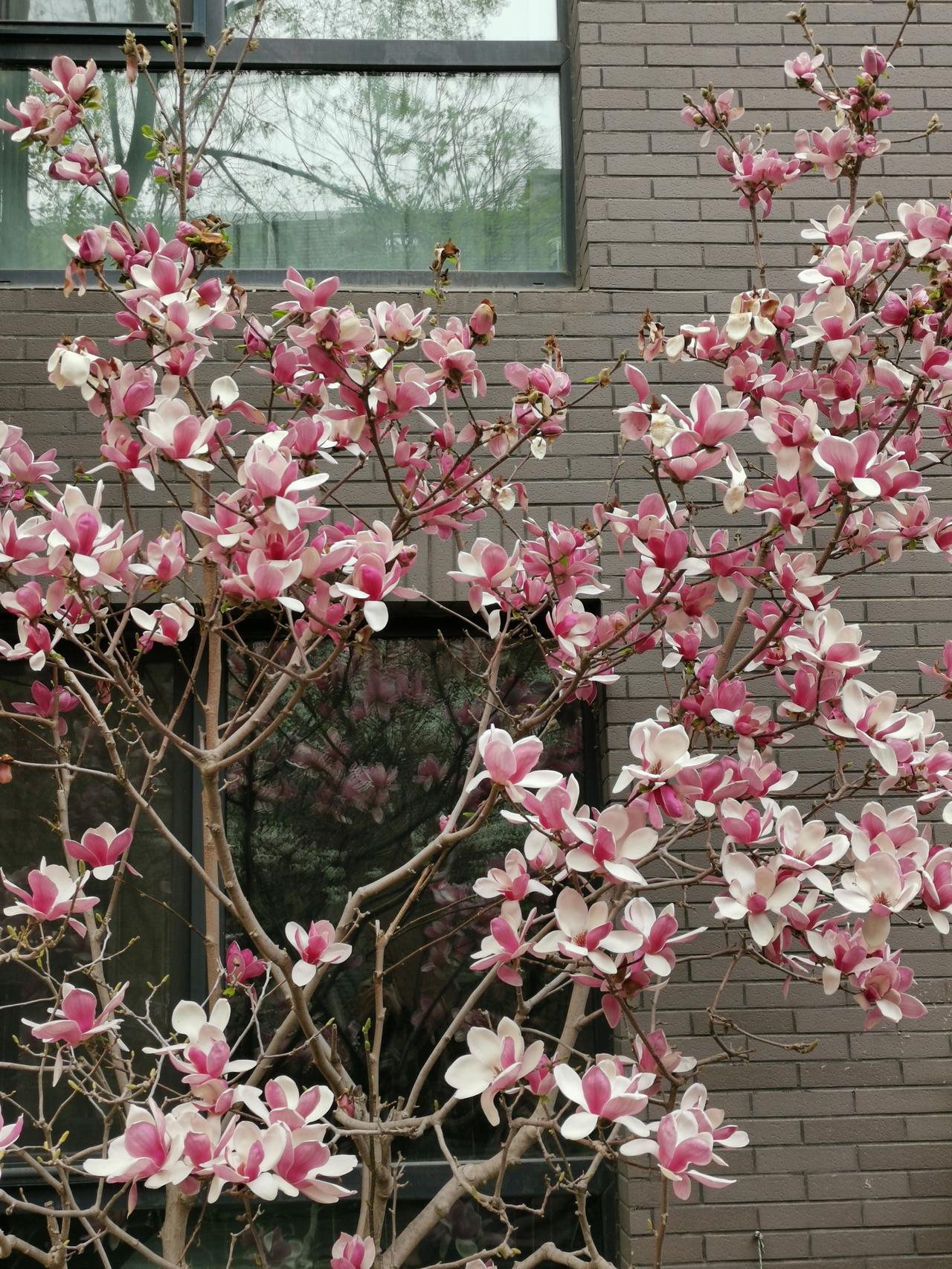 【家庭的矛盾，外人无法感同身受，难以给出公正的判断，终究需要家人内部沟通】
  