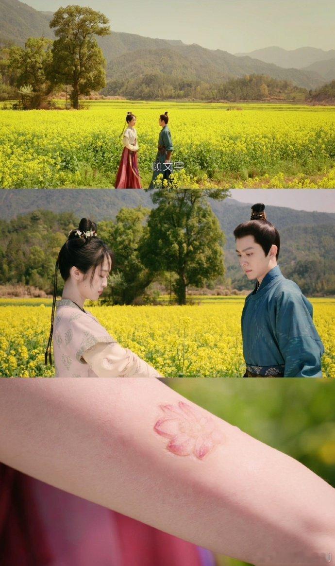 差一点她就能幸福了 看《掌心》被采莲的遭遇狠狠刀到！她勇敢追求爱情，和顾文宇互许