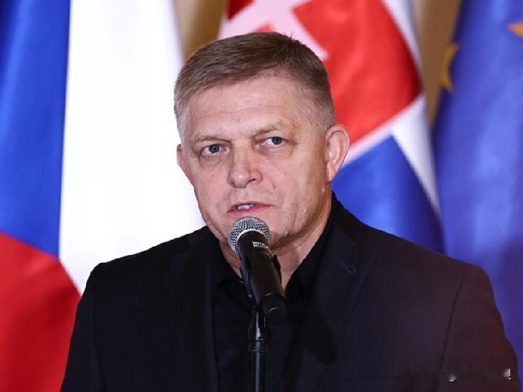 斯洛伐克总理菲佐怒斥欧盟！

刚刚，斯洛伐克总理菲佐表示，欧盟将冻结的俄罗斯资产