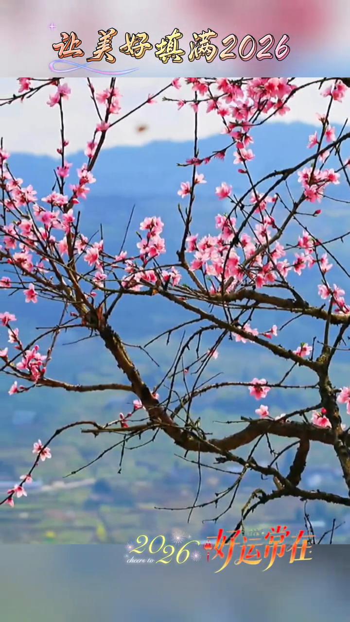 让美好填满2026，2020好运常在。
桃花岛。