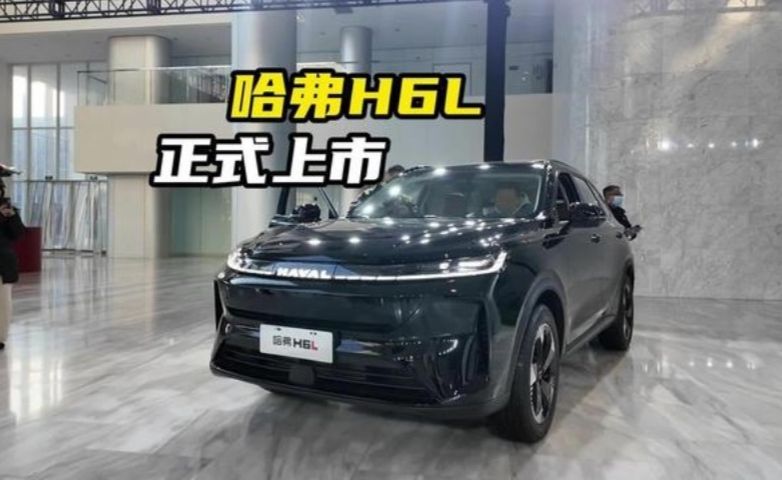 2.0T+9DCT，顶配不到13万，哈弗H6L这价格真能打