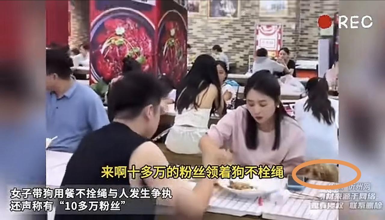 “好嚣张啊”！一自称是有10多万粉丝的网红带着泰迪犬在餐厅吃饭，被质疑后，她还张