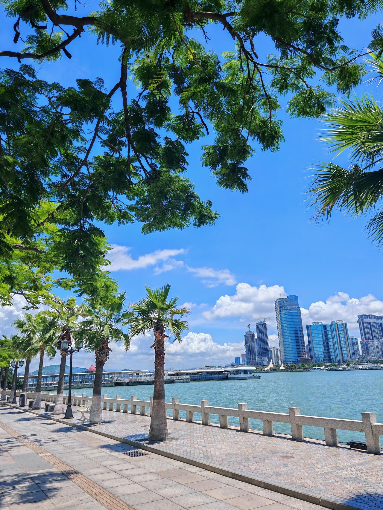 第三次来厦门，彻底被这份惬意拿捏了！
 
这已经是我第三次来厦门，每次逛完都忍不