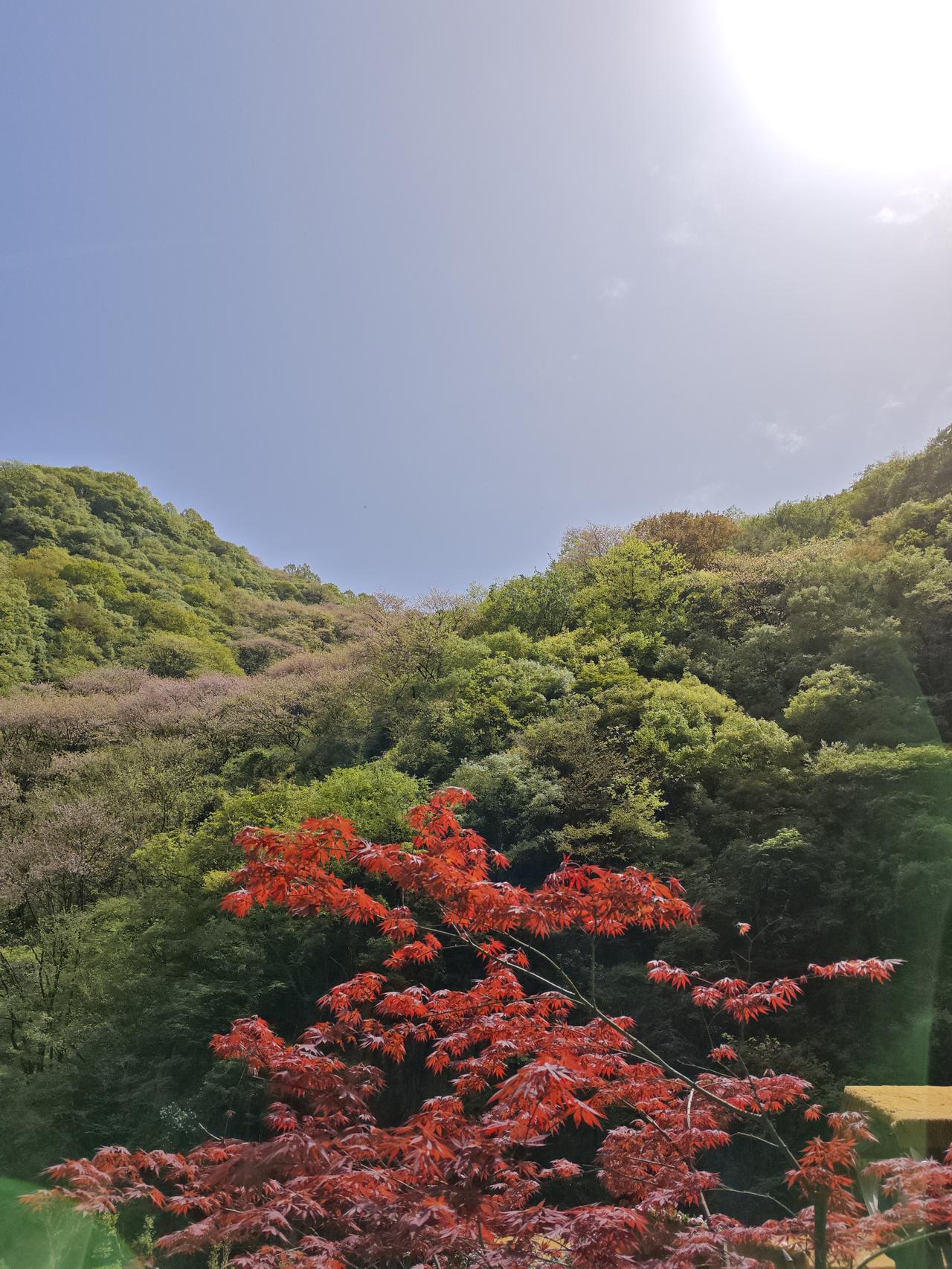 霍尔木兹海峡又关闭了

18日，也就是今天凌晨，伊朗军方宣布，美国屡次违背承诺，