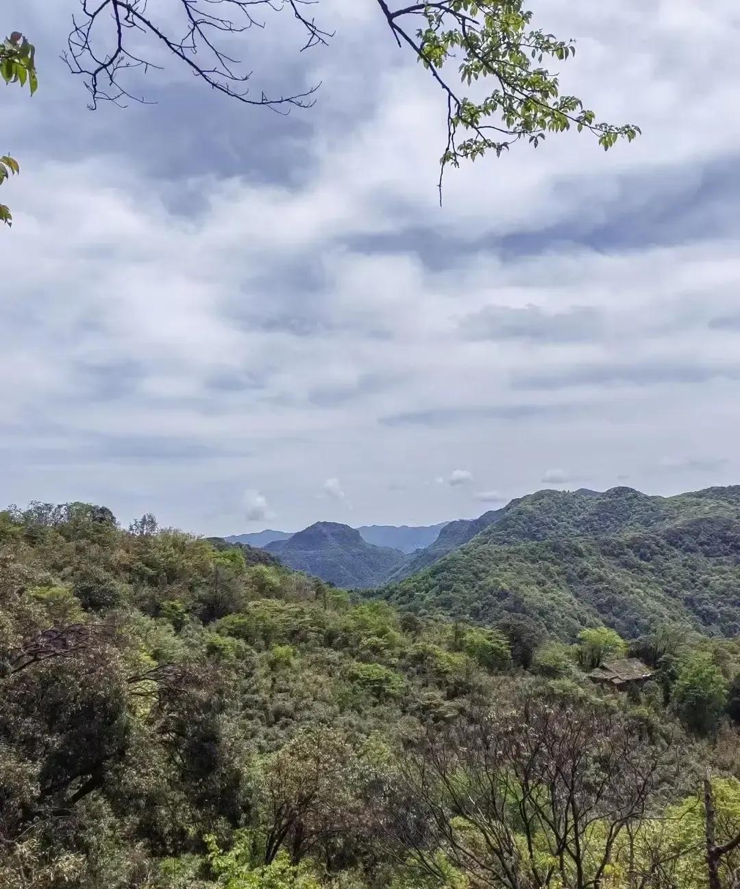 抖音上那条黑底白字视频说今晚就去做想做的事，我看完没点赞直接关屏。
第二天地铁里