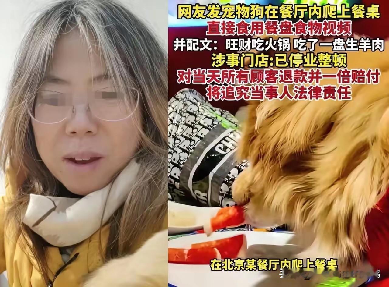 南门刷肉估计悔的肠子都青了
不是因为没阻止狗舔盘子，也不是1倍赔偿当日用餐的食客