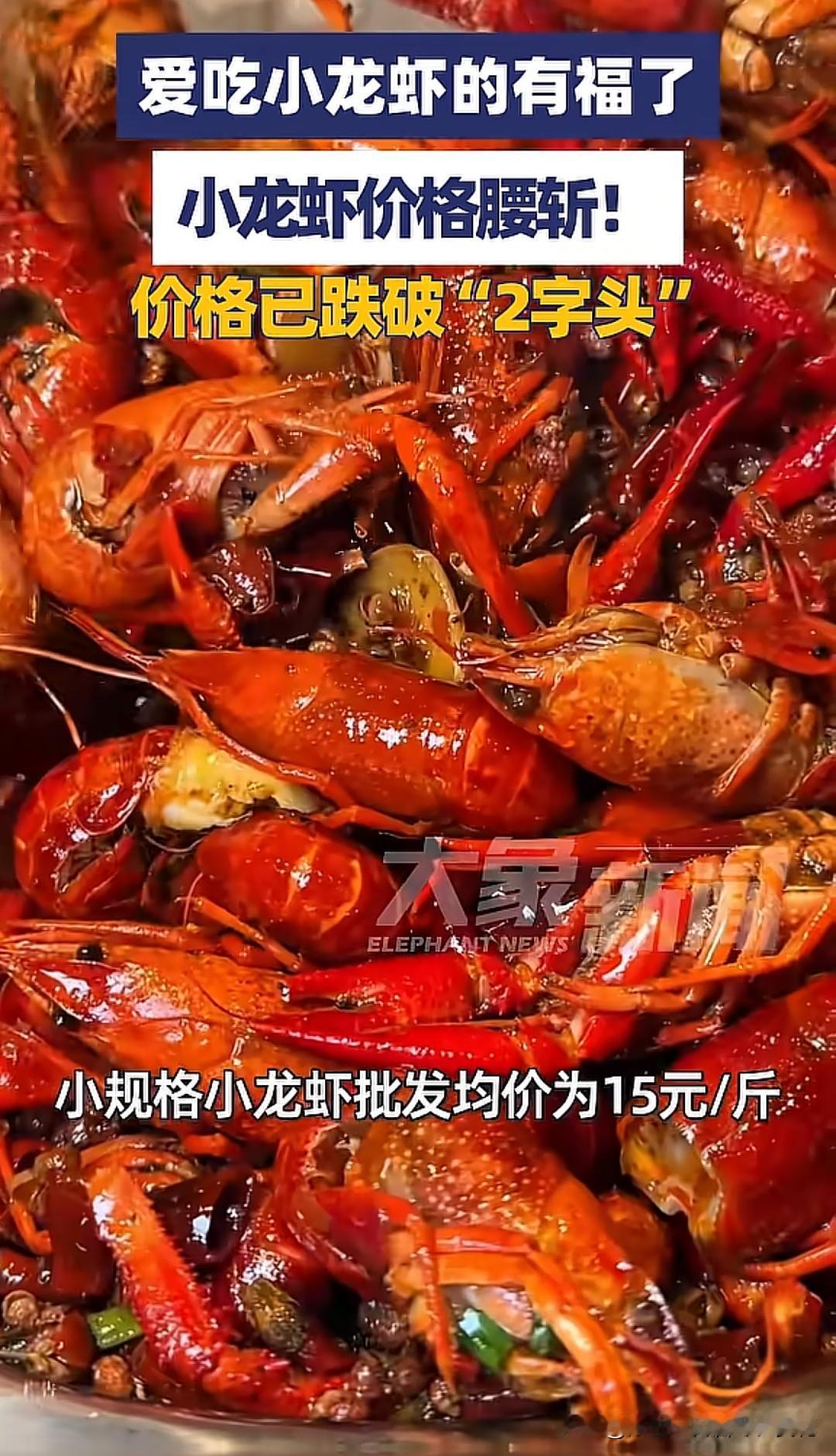 今年小龙虾价格没有暴涨，而是同比大幅下跌，小规格批发均价已降至15元/斤左右，较