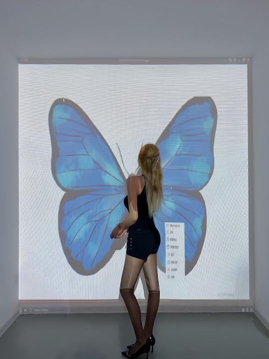 黑色舒适区🦋🖤