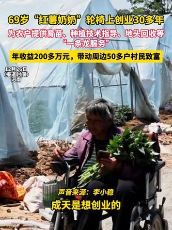 河南69岁“红薯奶奶”李小稳，轮椅上创业30余载，每日“朝五晚十”辛勤劳作。她从