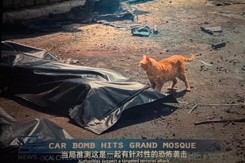 🔻（有剧透，介意勿看）🔻有人问“拍abc美军托尼王逗猫是不是要表达美军有人性