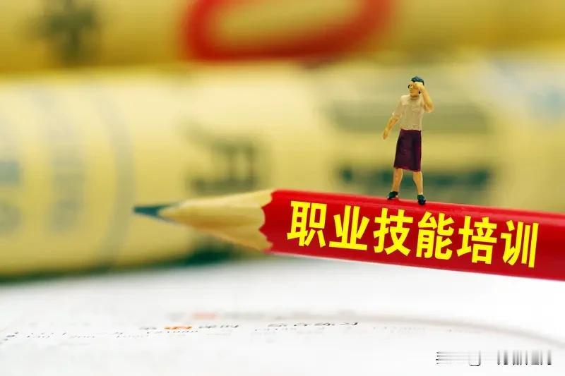 双一流本科毕业
三年后却进入技校学技术
27岁女孩曹蕊双一流毕业
考研未上岸，选