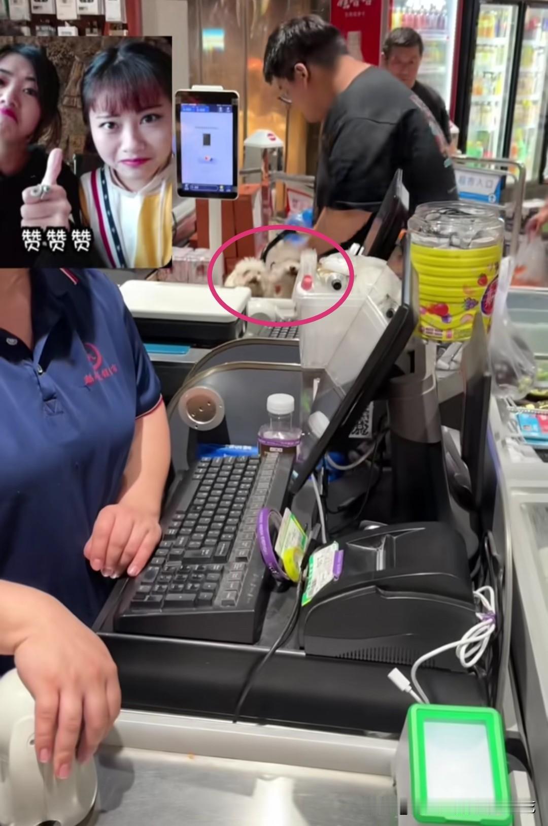 狗上购物车，不止一条，而是两条，这样的购物车你还敢用吗？这一幕发生在沈阳的麒麟生