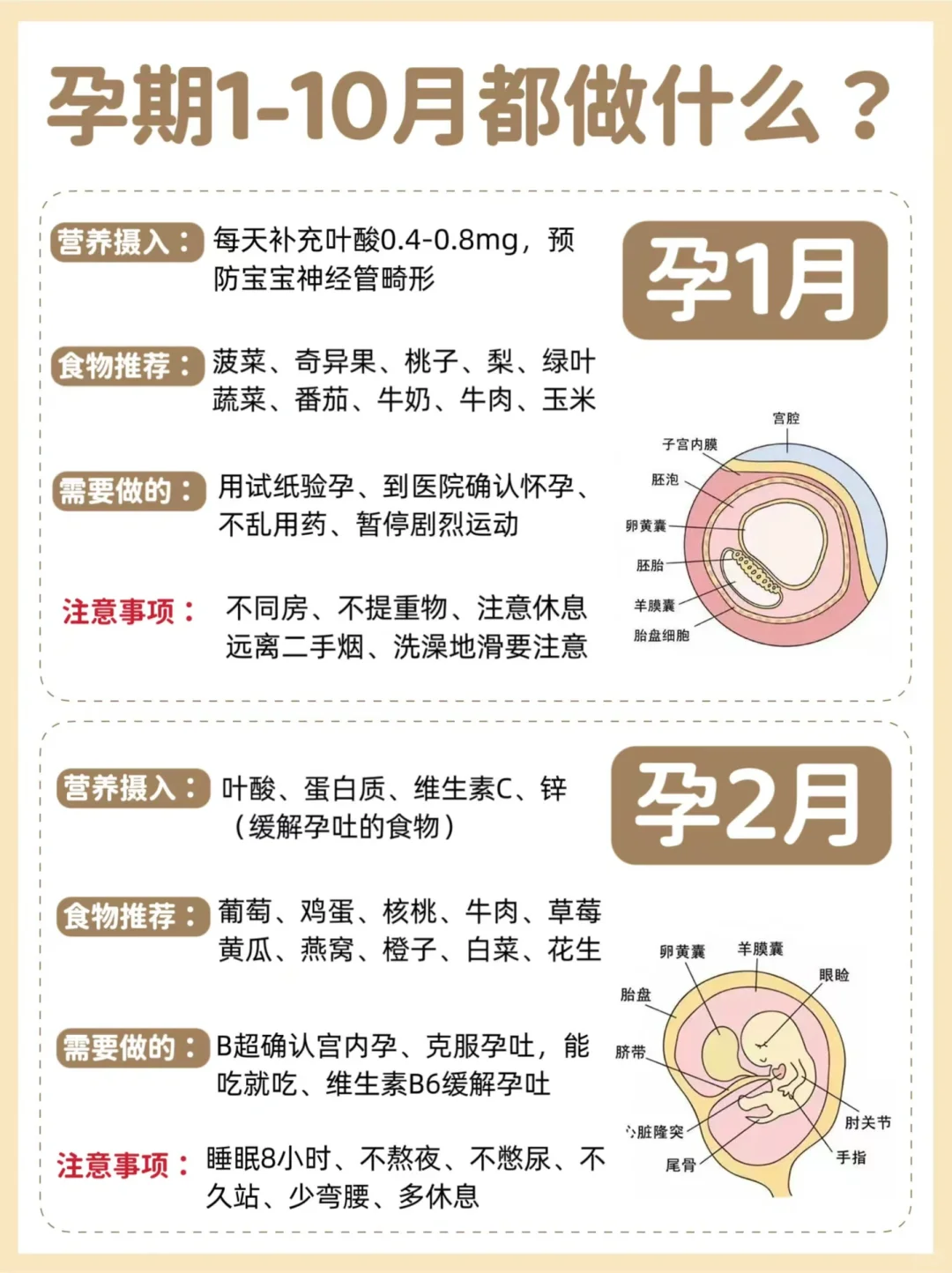 相隔3年怀上了二胎，看看孕期我都做了什么？