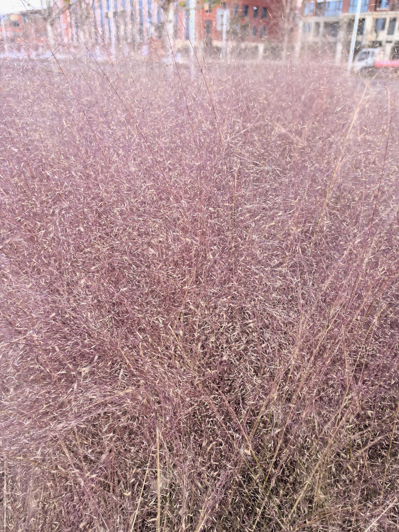 尊严

清晨四点，老陈蹑手蹑脚地掀开被子。床头柜上压着一张纸条：“爸，学费可以晚