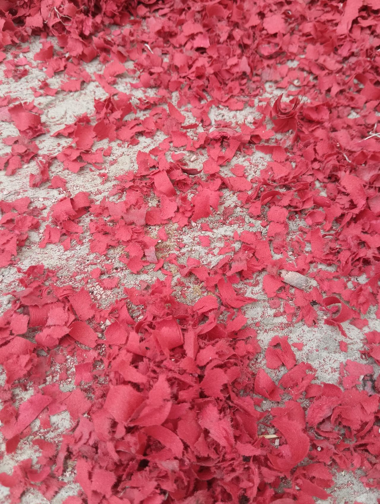 集卡领红包爆竹声里辞旧岁，红灯笼照亮归途。厨房里飘着饭菜香，家人围坐一桌，笑语盈