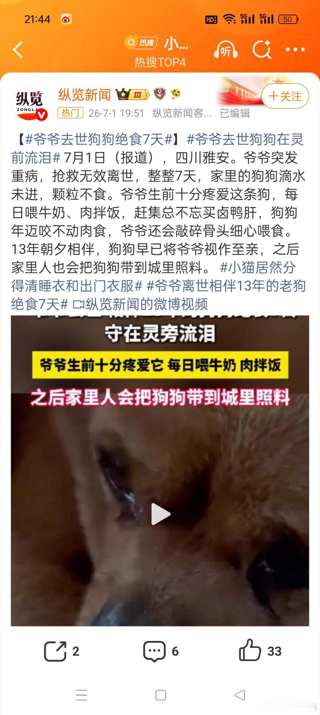 爷爷离世相伴13年的老狗绝食7天以前就听大人说狗狗是最有灵性的动物，他们不光忠诚