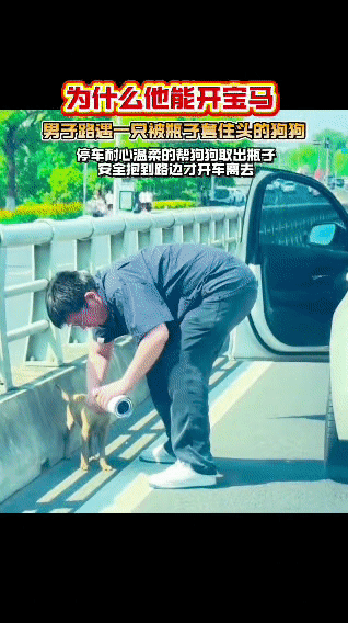 一位男子开车途中，遇到一只头被瓶子套住的小狗，他立即停车，耐心温柔地帮小狗取出瓶