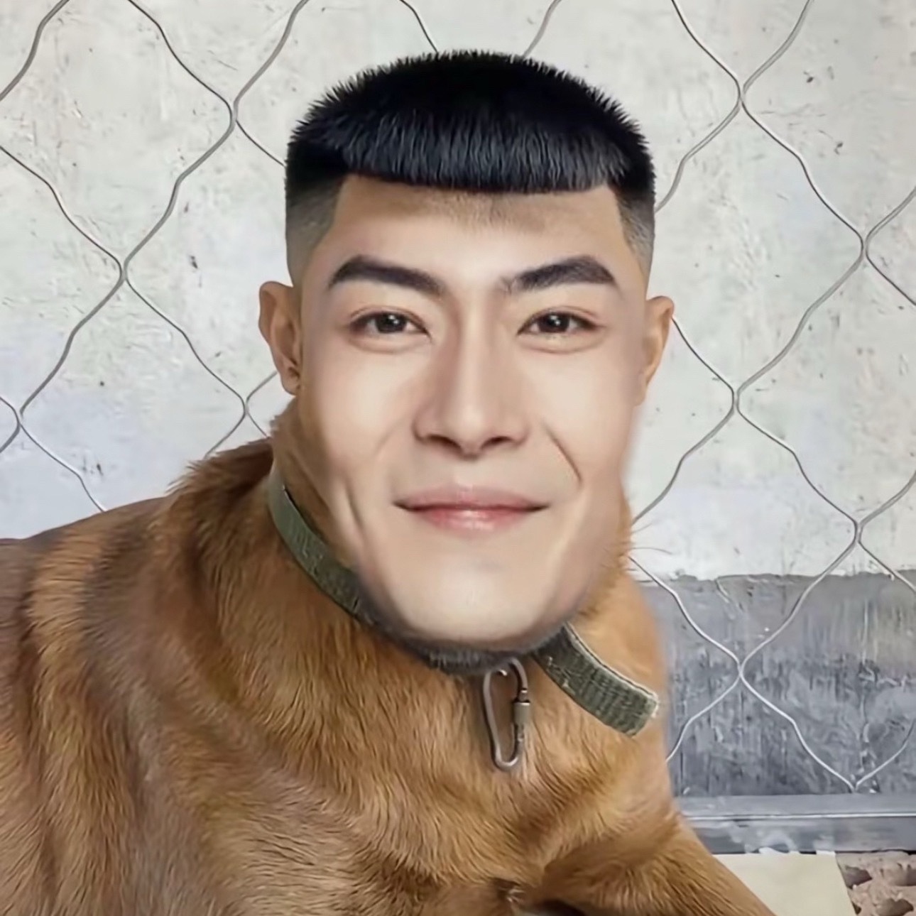 如果我说这是我捡的图，你们信吗