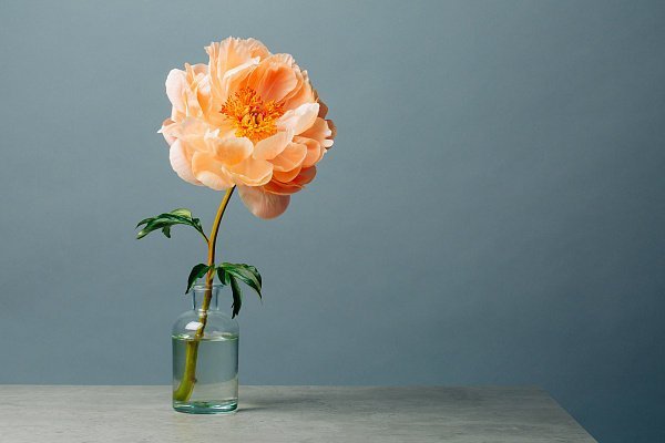 “笨，也是一种温暖。智，时时予我清凉。”——木心 