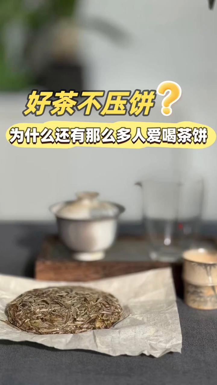 好茶不压饼，为什么还有那么多人爱喝茶饼？
小陈茶事。
有个茶友来聊天，说起喝茶，
